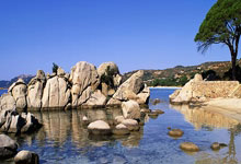 神秘力量现身,球场上开启一场场惊心动魄的较量